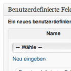custom-field-wordpress