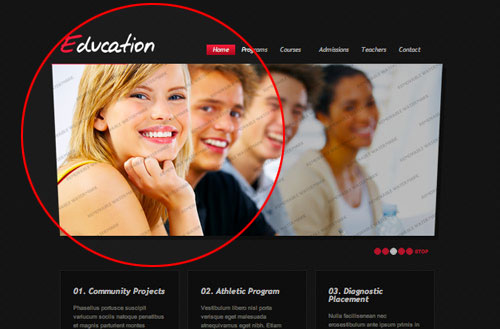 Blondes Model in Stock-Image - Website Education