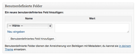 benutzerdefinierte-felder-wordpress Ansicht der Benutzerdefinierten Felder in WordPress