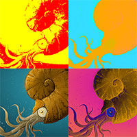CSS Blend Modes