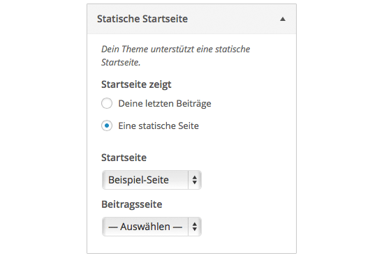 Es kann eine beliebige Seite als »statische Startseite« definiert werden