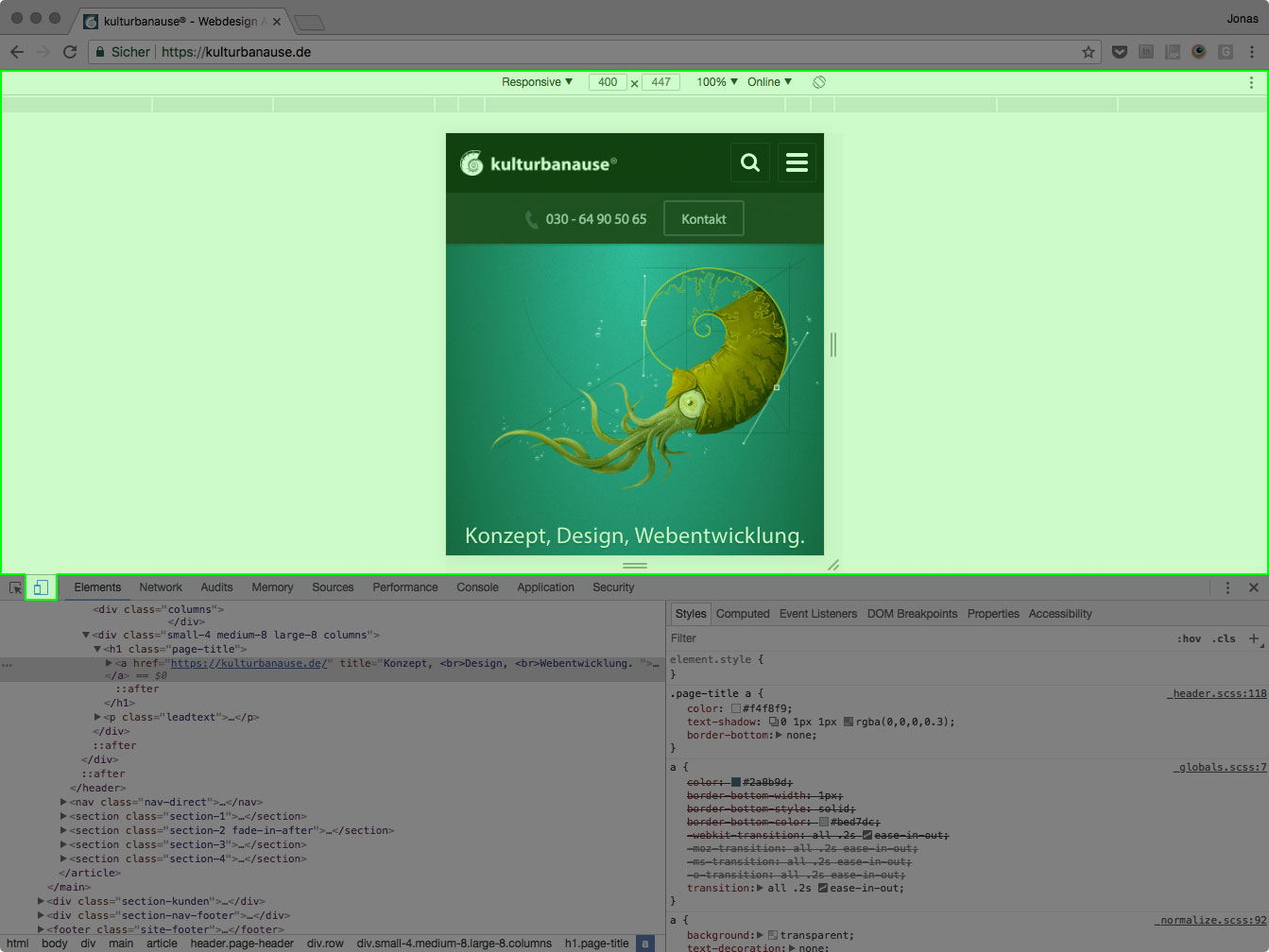 Screenshot der geöffneten DevTools inkl. geöffneter Responsive Design Testing Tools