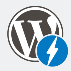 AMP WordPress datenschutzkonform einsetzen