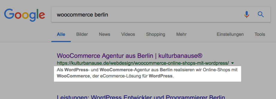 Beispiel der Darstellung der Beschreibung bei Google